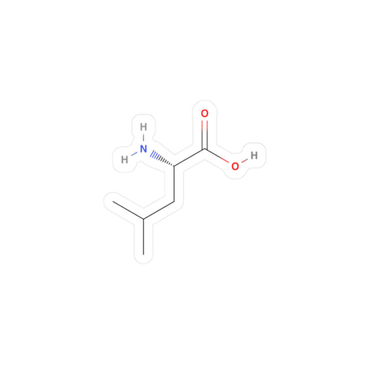 Vinyl Decals - Leucine