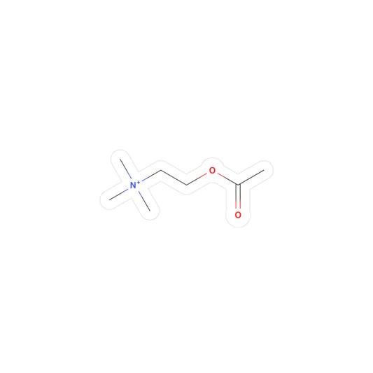 Vinyl Decals - Acetylcholine